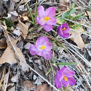 Meet your Posher, Edith